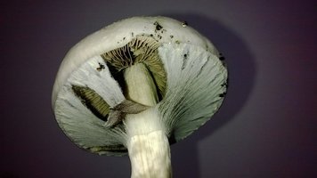 WP_20140911_024.jpg