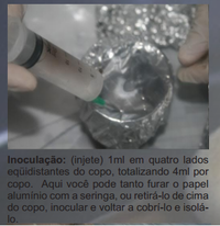 4ml.png