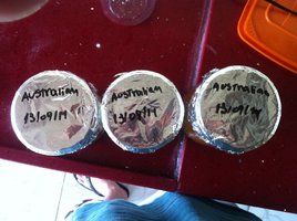 foto 3.JPG
