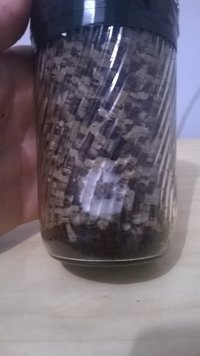 WP_20140919_006.jpg