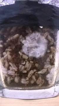 WP_20140919_010.jpg