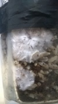 WP_20140919_015.jpg