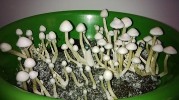 WP_20140920_020.jpg