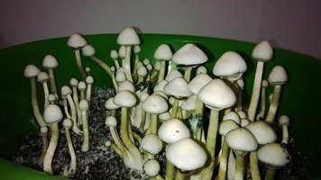 WP_20140920_024.jpg