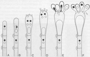 ABAAAey6MAF-6.jpg