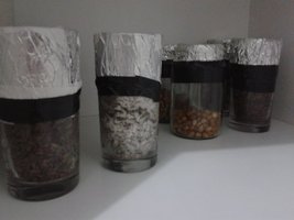 20140924_210128.jpg