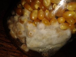 20140925_152850.jpg