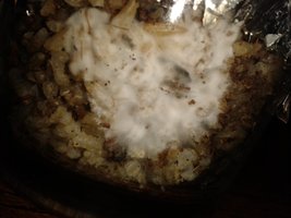 20140925_152803.jpg