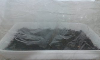 20140926_095341.jpg