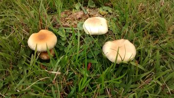 IMG_20140926_134724709.jpg