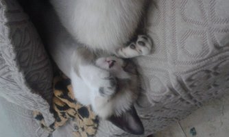 20140924_145217.jpg