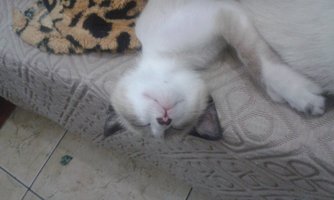 20140924_145252.jpg