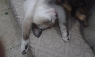20140924_145423.jpg