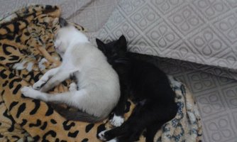 20140926_133201.jpg