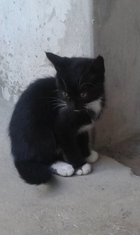 20140924_092606.jpg