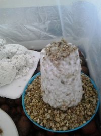 20141004_134617.jpg