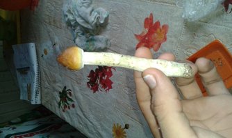 20141005_163106.jpg