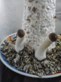 20141014_075422.jpg