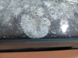 IMG_1507.JPG