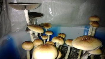 WP_20141009_020.jpg