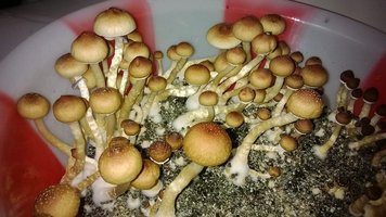 WP_20141016_008.jpg