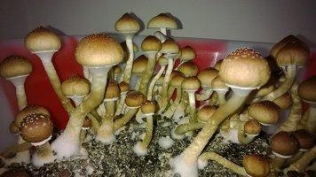 WP_20141016_015.jpg