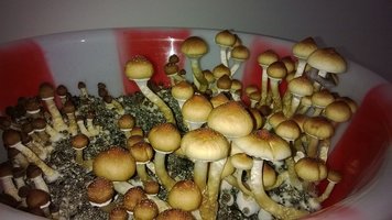 WP_20141016_019.jpg