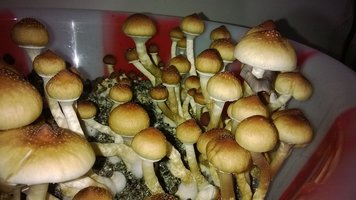WP_20141016_020.jpg