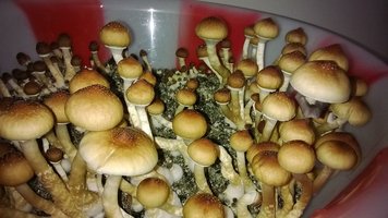 WP_20141016_021.jpg