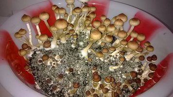 WP_20141016_022.jpg