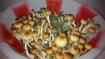 WP_20141016_024.jpg
