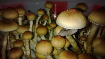 WP_20141016_026.jpg