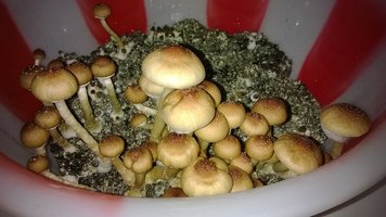 WP_20141016_058.jpg