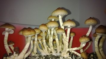 WP_20141016_059.jpg