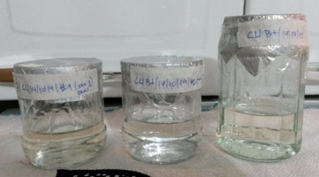 CL_1019.jpg
