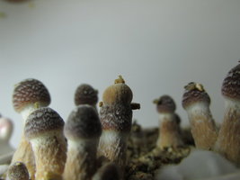IMG_1831.JPG