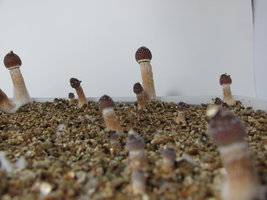 IMG_1836.JPG