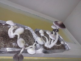 CAM01582.jpg