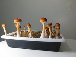 IMG_1891.JPG