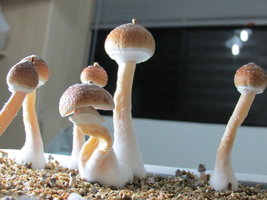 IMG_1894.JPG