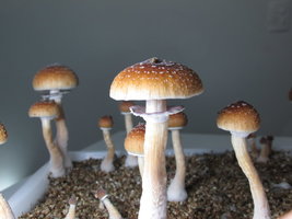 IMG_1915.JPG
