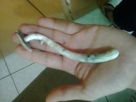 20141025_095408.jpg