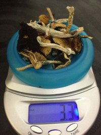 IMG_0603.JPG
