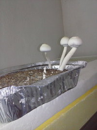 CAM01589.jpg