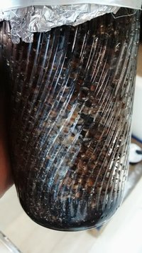 IMG_20141030_131151[1].jpg