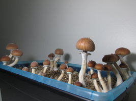 IMG_2218.JPG
