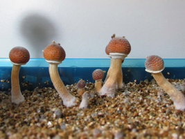 IMG_2222.JPG