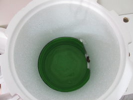 IMG_2274.JPG
