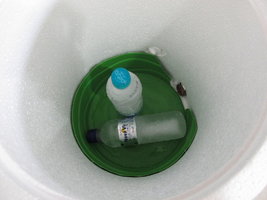 IMG_2284.JPG