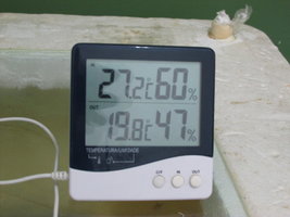 IMG_2290.JPG